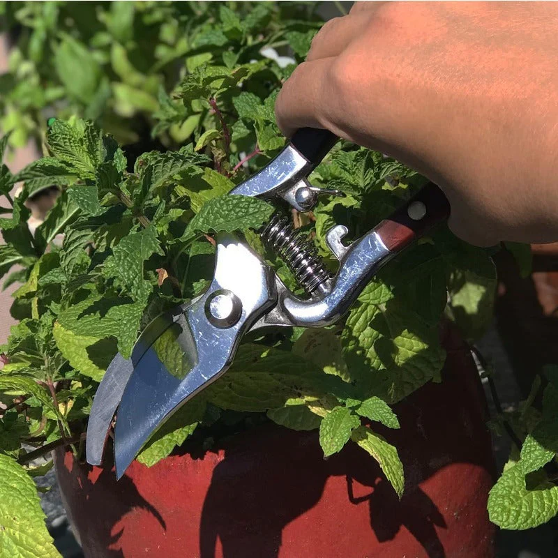 Hand-Forged Multipurpose Garden & Kitchen Shears - Image 3