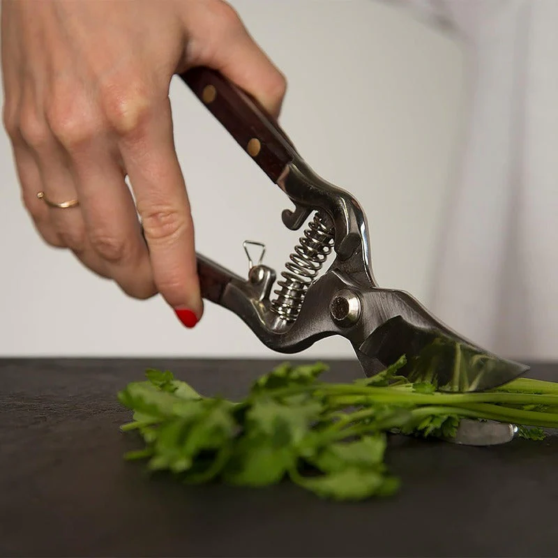 Hand-Forged Multipurpose Garden & Kitchen Shears - Image 4