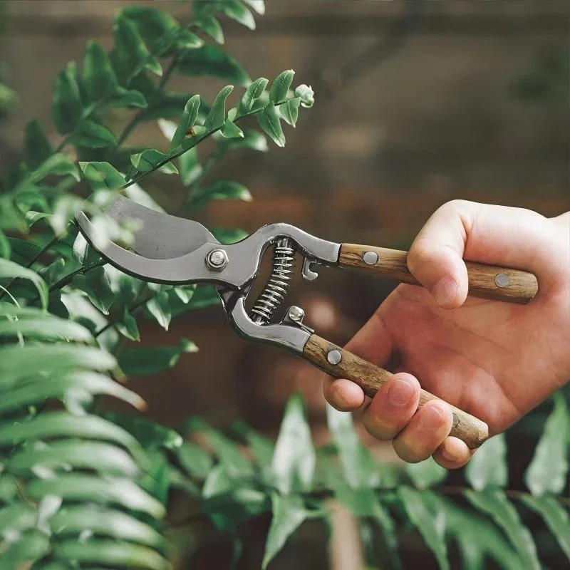 Hand-Forged Multipurpose Garden & Kitchen Shears - Image 9